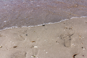 The background of sand with water splash into summer with space for text.