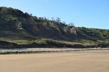 falaises des vaches noires