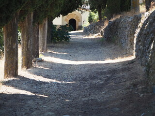 sendero de acceso al santuario de san antonio de ulldemolins con pinos que proporciona sombra durante los calurosos meses de verano, tarragona, españa, europa