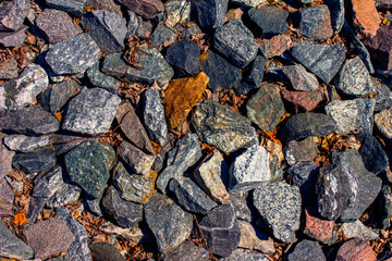 Small rocks and some leaf in the fall