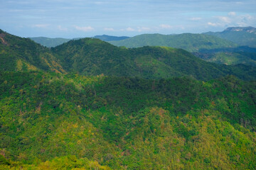 Naklejka premium landscape with forest mountain