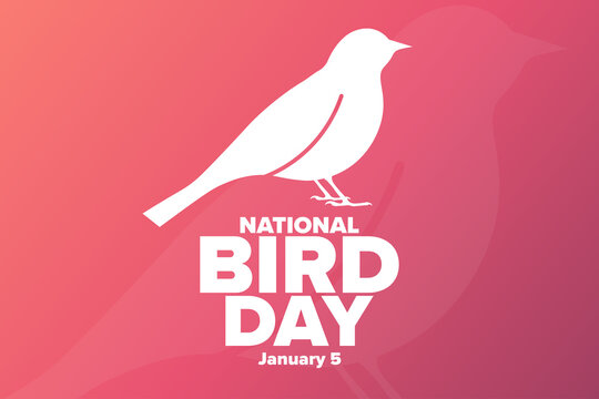 National Bird Day. January 5. Holiday concept. Template for background, banner, card, poster with text inscription. Vector EPS10 illustration.