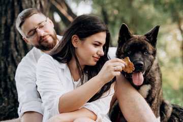 American Akita dog for a walk with a guy and a girl