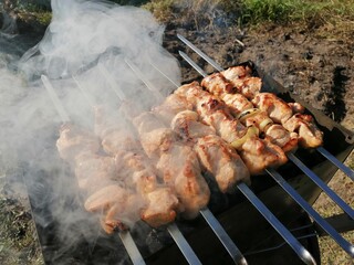 shish kebab on the grill