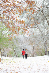 People walk in a snowy park. First snow in November. Beauty in nature. Seasonal conceptual landscape.