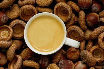 Acorn coffee from roasted acorns