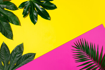 Fototapeta na wymiar Creative banner with tropical leaves on geometric vibrant colours background. Flyer for ad. Design for invitation cards, flyers. Abstract design templates for posters, covers, wallpapers.