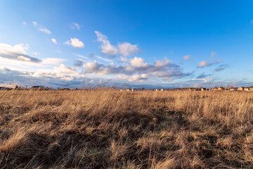 Field of dry yellow grass on a sky with clouds in sunny spring day.