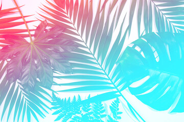 Sunshine. Summer tropical exotic leaves isolated on white background. Design for invitation cards, flyers. Abstract design templates for posters, covers, wallpapers with copyspace for text.