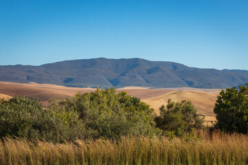 Scenic view of landscape at Overberg district, South Africa.