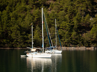 Fototapeta na wymiar Two white boats with masts near the seashore