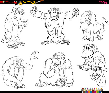 cartoon apes and monkeys characters set coloring book page