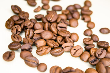 coffee beans on a white background