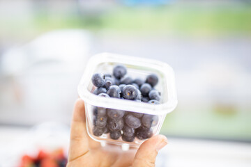Female hand holding plastic container full of fresh blueberries