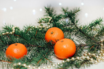 Fototapeta na wymiar Clementines on a spruce branch against the background of a Christmas garland.