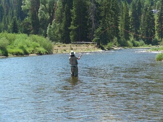 Fototapeta na wymiar Woman Fly fishing in the blue river of Colorado
