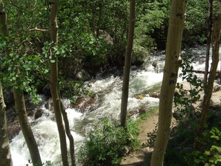 Creek in Rocky Mountain National Park