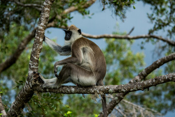 Fototapeta premium Abhängen
