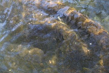 PARTAGE DES EAUX