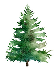 watercolor christmas tree isolated on white