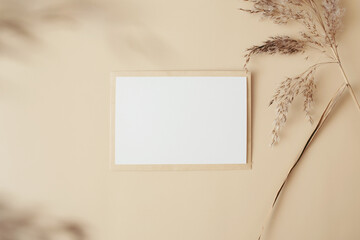 Creative layout made of dry pampas grass reeds agains and paper card note on beige background. Minimal, stylish, trend concept. Flat lay, top view, copy space. Trend color 2021