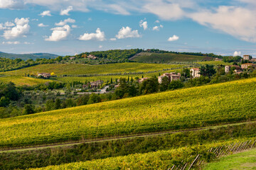 Obraz premium panorama of the autumnal vineyards of Castello di Brolio in Tuscany