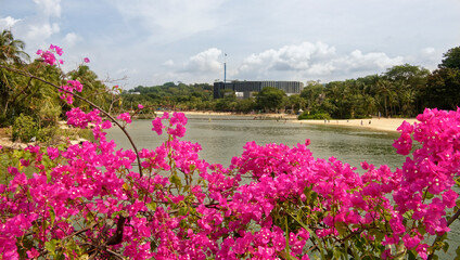  View of Sentosa Palawan Beach from Palawan Island. People resting on the shore