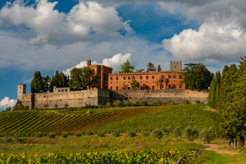 Fototapeta na wymiar panorama of the autumnal vineyards of Castello di Brolio in Tuscany