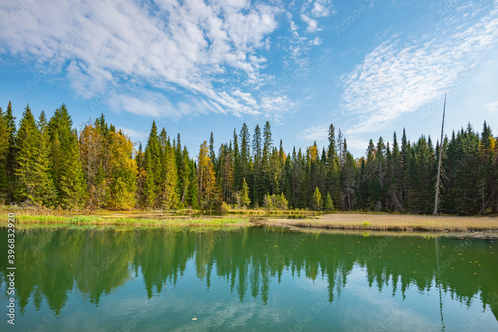 Wall mural autumn forest trees are reflected in the river water of the panoramic landscape. blue sky with cloud