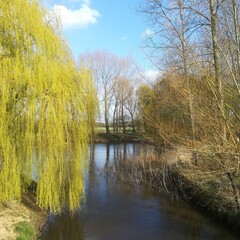 landscape with river fhuy1
