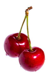 Two organic sweet cherries isolated on a white background.