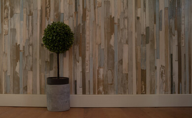 Bonito fondo de madera con rayas horizontales. Textura a rayas de madera con espacio para texto y una planta a la izquierda