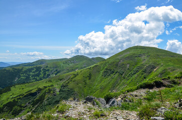 Panorama of green Chornohora mountain range in in summer season Carpathians, Ukraine.