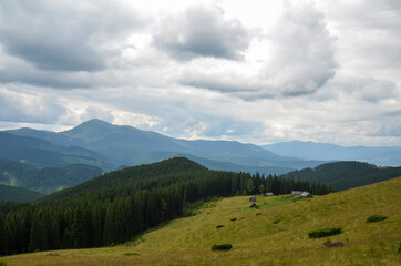 Beautiful mountain landscape with green meadows, evergreen spruce forest, wooden shepherd houses in Carpathians, Ukraine