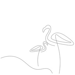 Flamingo birds near water drawing. Vector illustration