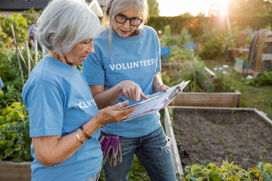 Senior Volunteers Using Digital Tablet In Community Garden