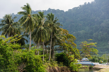 Fototapeta na wymiar Insellandschaft von Tioman in Malaysia.