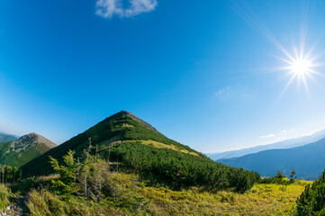 beautiful mountains covered with forest and alpine pine under blue sky