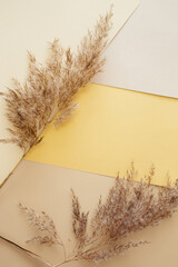 Dry pampas grass reeds agains on gold, beige, white paper geometric background. Minimal, stylish, trend concept. Flat lay, top view, copy space. Trend color 2021