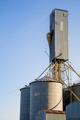 Silos plant for the storage and drying of cereal