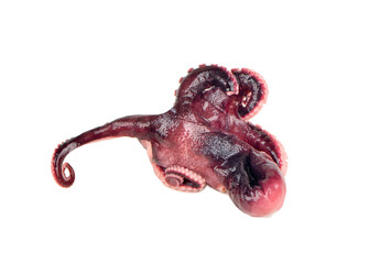 Pickled octopus