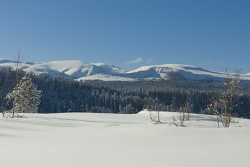 Winter landscape in the mountains