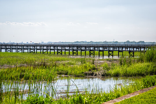 View of Hog Island Channel water from Mount Pleasant in Charleston, South Carolina with wooden docks pier and green grass landscape view in southern town village