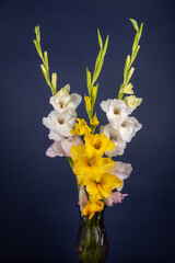 Bouquet Gladioli Vase Dark Blue