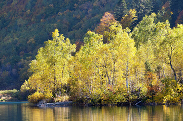 Autumn landscape in the forest
