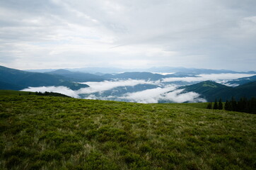 Obraz premium Bright green meadow in Carpathian mountains. Clouds over valley in the morning. Stunning mountain landscape. Ukraine.