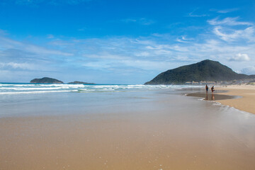 Tropical beach, Santinho beach, Florianopolis, Santa Catarina, Brazil, Florianópolis,