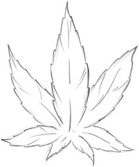 Hand pencil drawn cannabis leaf