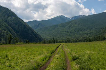 Naklejka na ściany i meble country road in the mountain forests of the Altai mountains