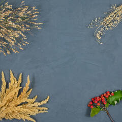 Rowan spikelets and berries on a concrete gray background. Place for an inscription. View from...